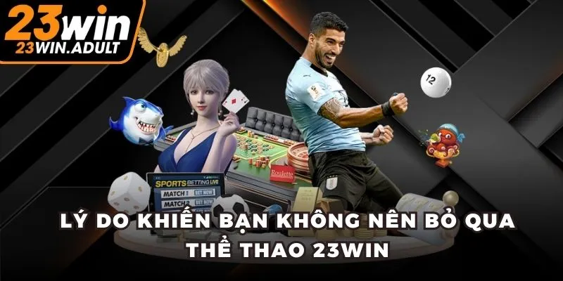 Lý do khiến bạn không nên bỏ qua thể thao kubet 11 net